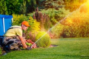 Lawn Care